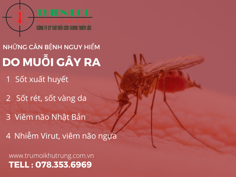Các bệnh nguy hiểm do muỗi gây ra