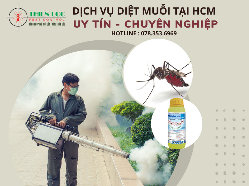 Dịch vụ diệt muỗi tại HCM