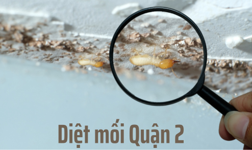 Diet moi quan 2