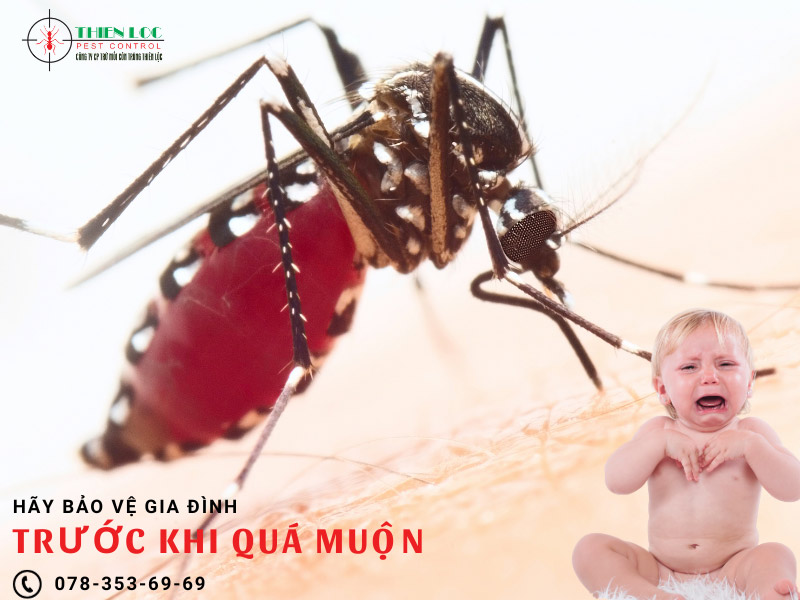 Hình ảnh loài muỗi hút máu trẻ nhỏ