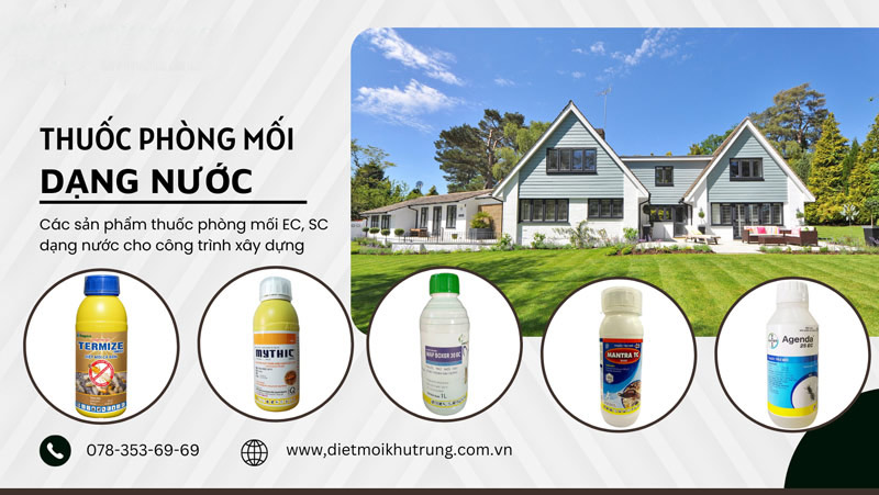 Thuốc xử lý chống mối nền móng công trình xây dựng