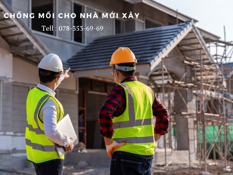 Tư vấn cách phòng chống mối cho nhà mới xây