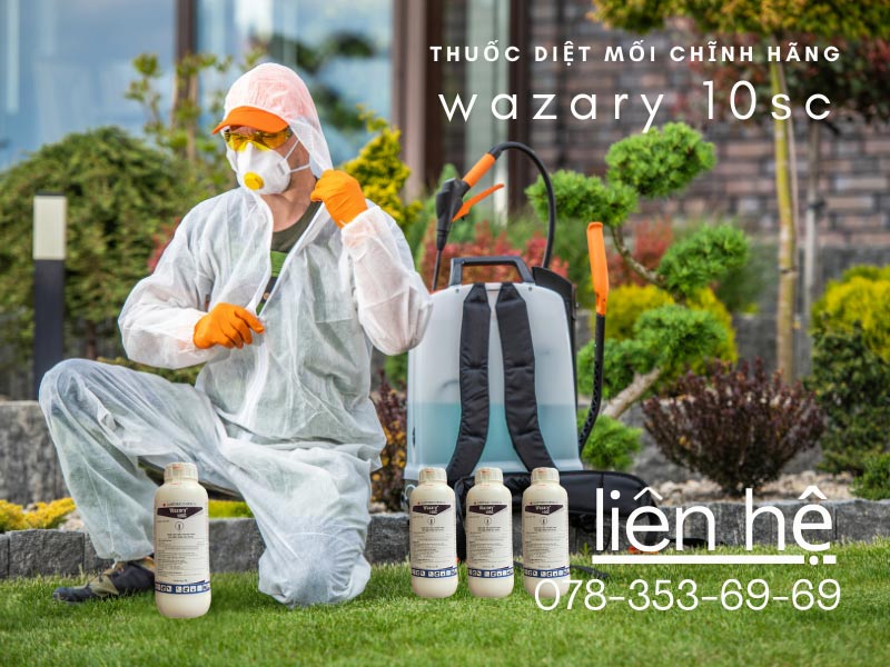 Công ty bán thuốc diệt mối wazary chính hãng giá tốt