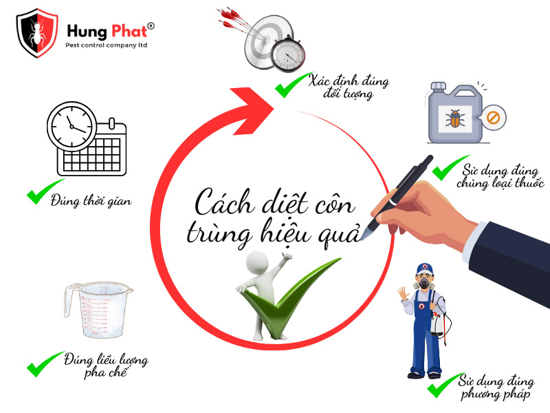  Phương pháp diệt côn trùng Đà Lạt hiệu quả